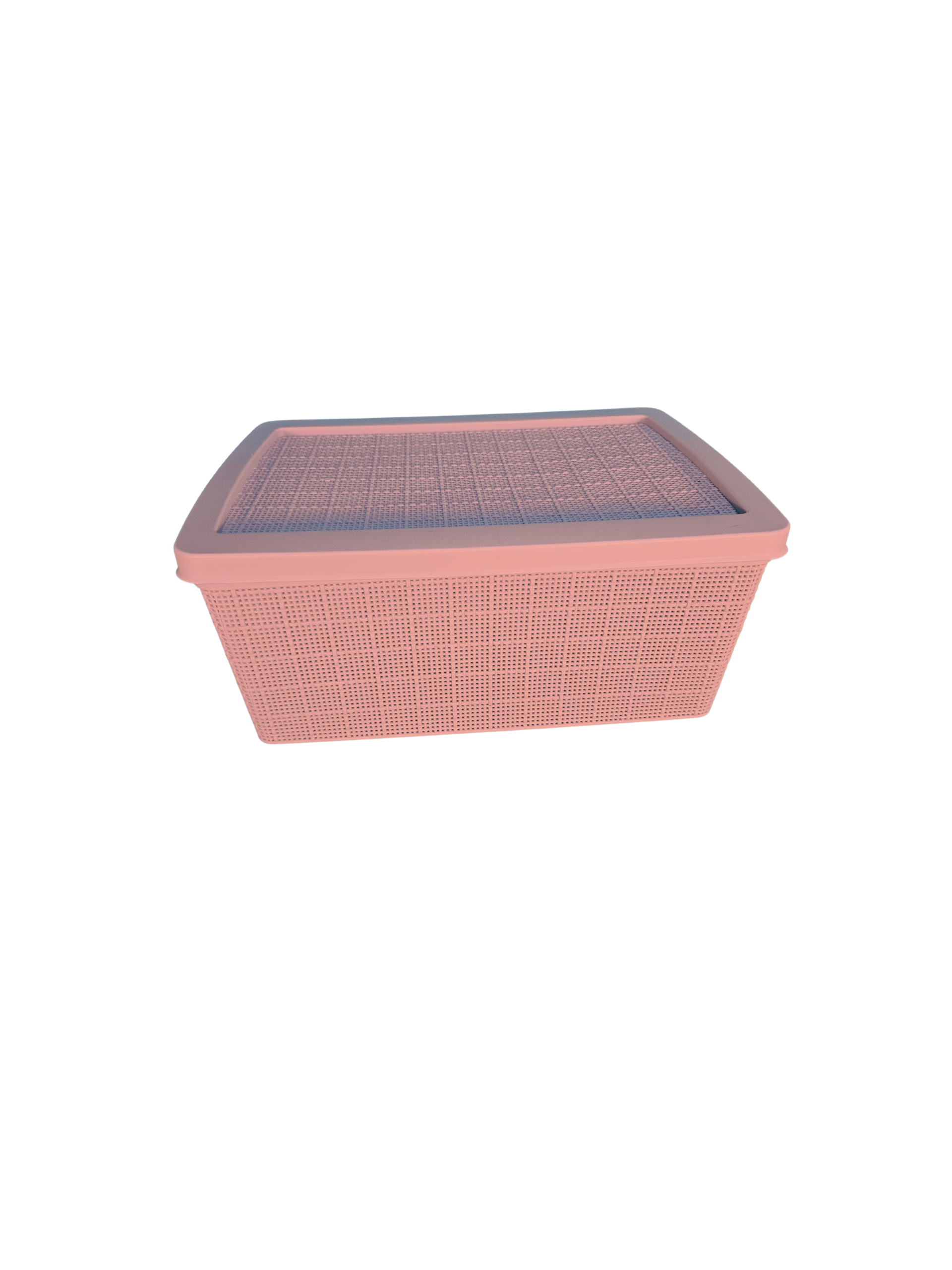 Caja Organizadora de Plástico con Tapa (morada)