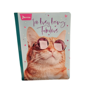Cuadernos lineales de gato (pack de 3)